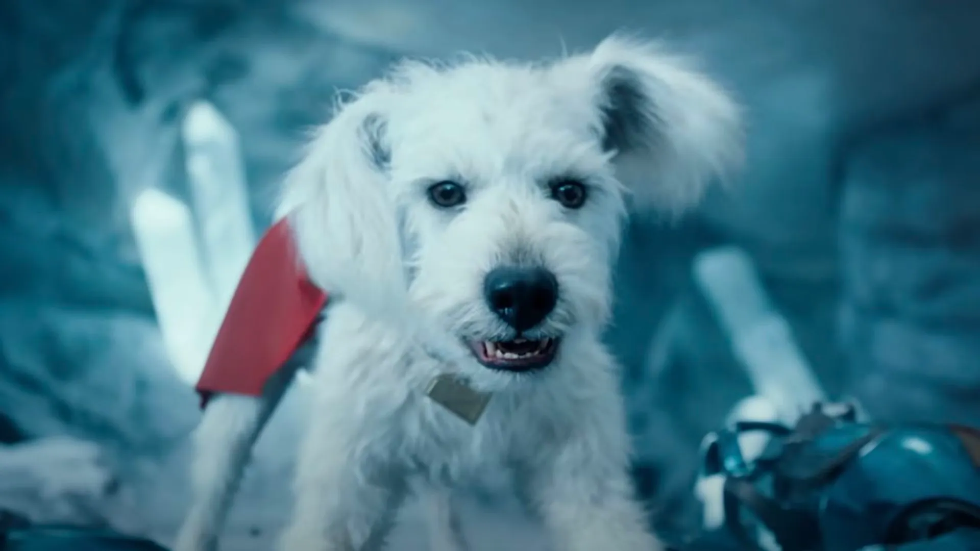 Krypto, o Supercão