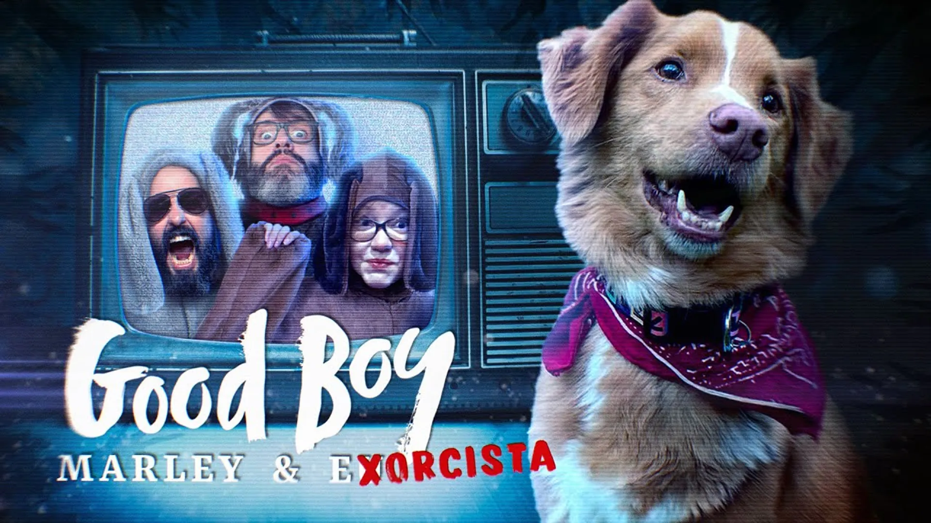Good Boy: O Trailer de Terror Que Mistura Fofura e Pavor